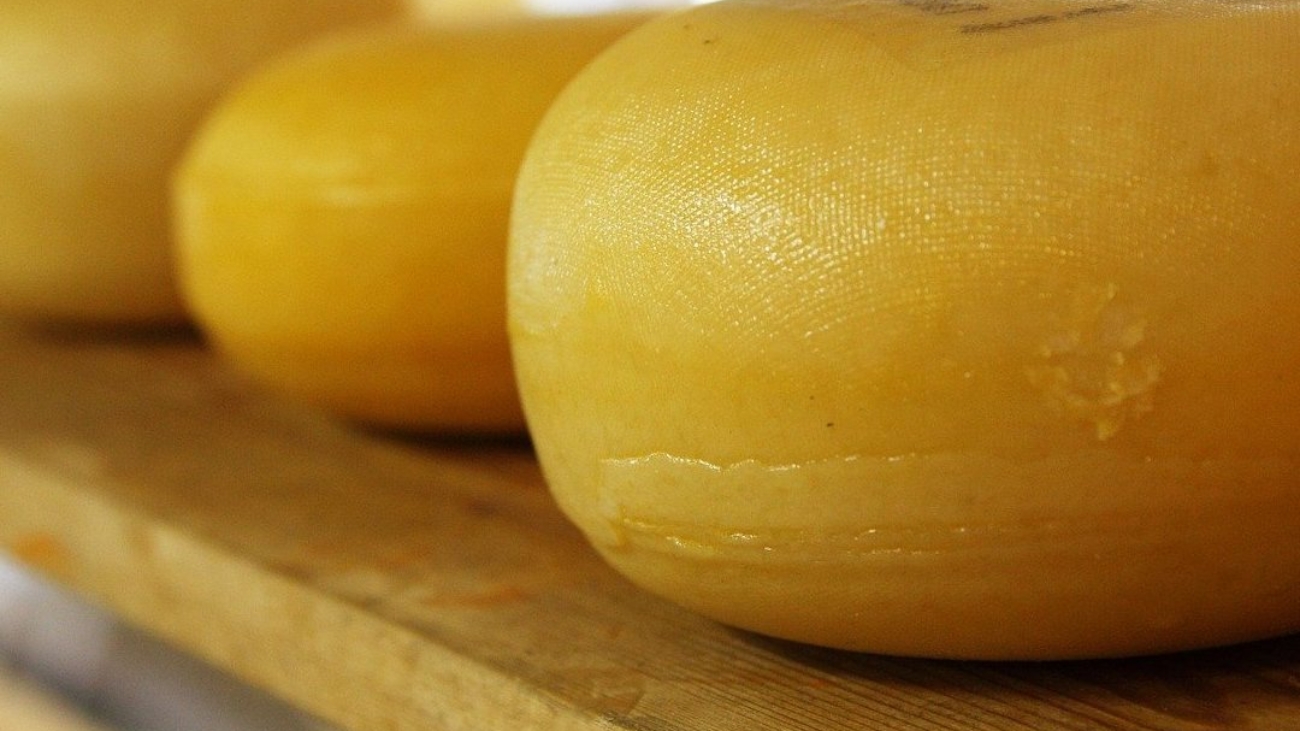 cheese-2785_1920