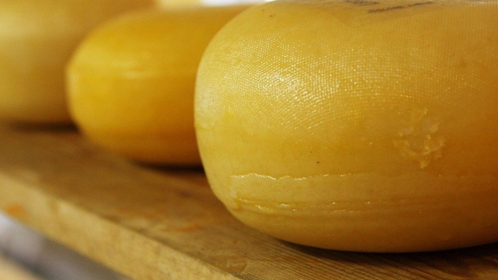 cheese-2785_1920