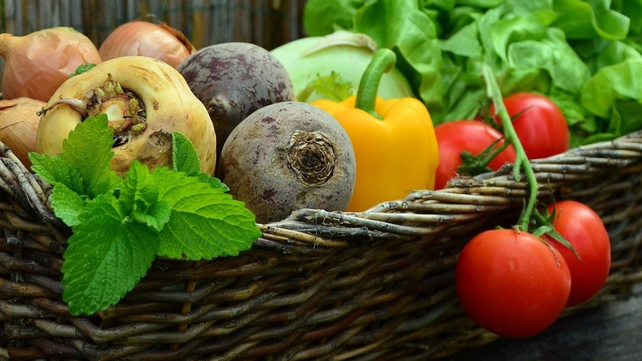 vegetables-g141a0b675_1920