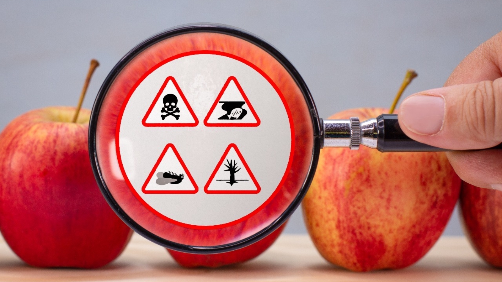 Toxicologia alimentaria