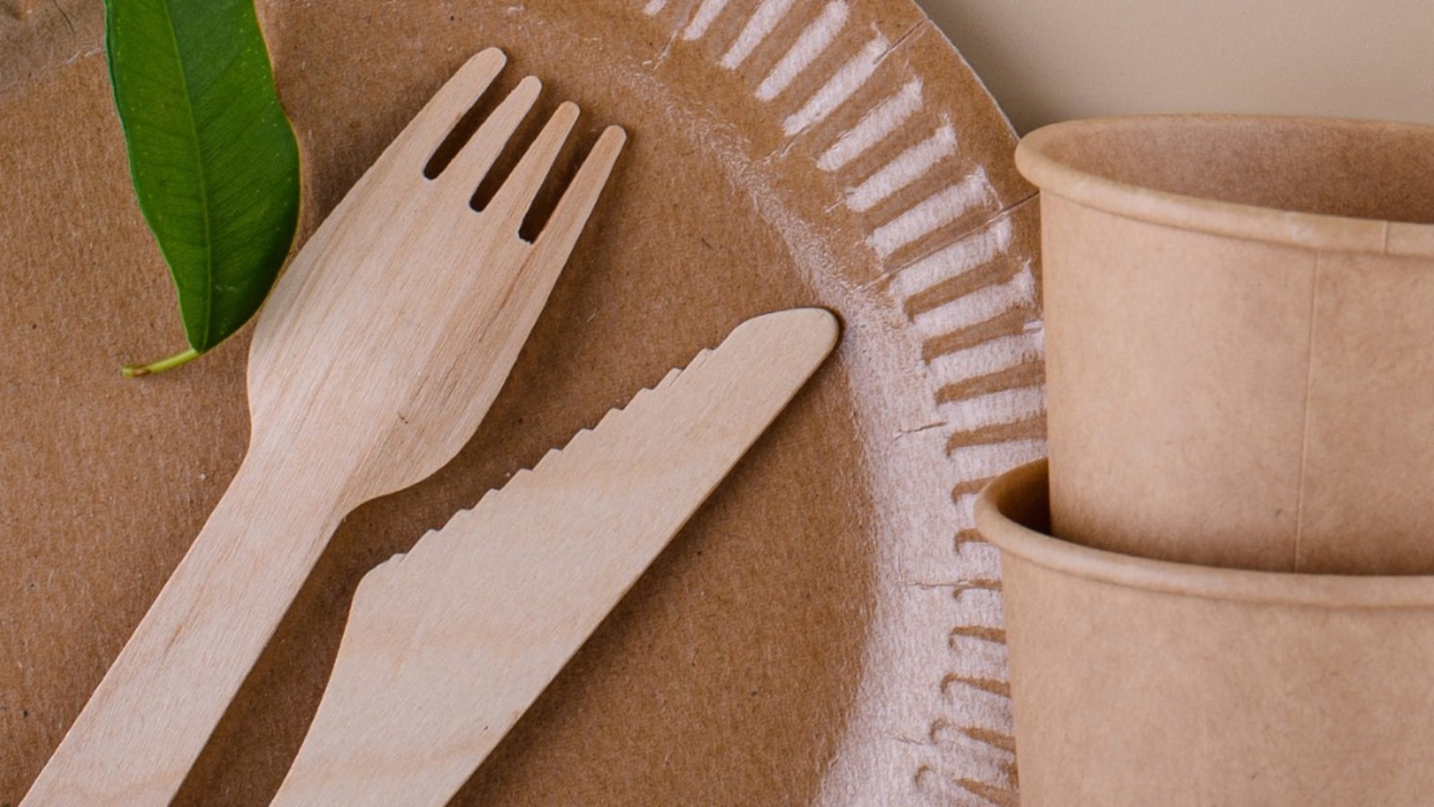 Envases y cubiertos sustentables-2